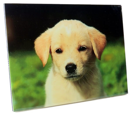8" x 10" Photo Tile