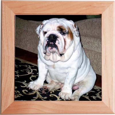 Wood Frame for 8" Tile