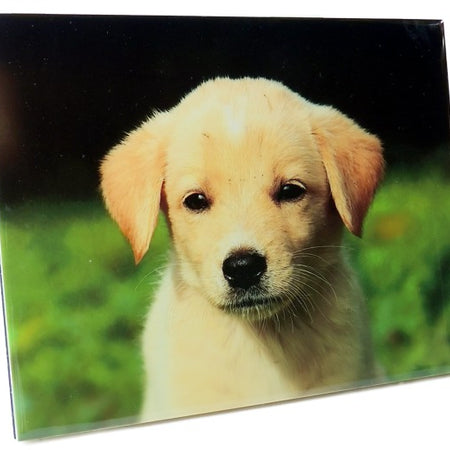 8" x 10" Photo Tile