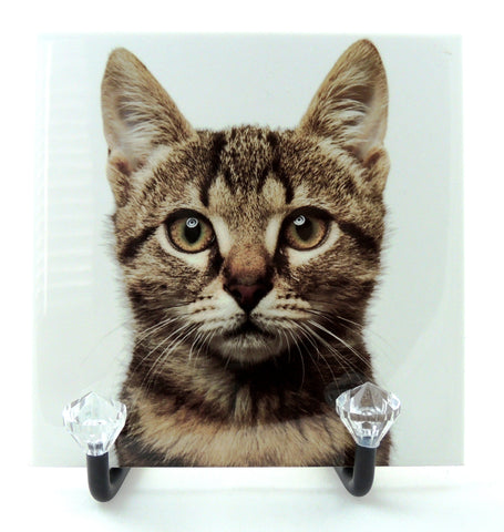 6" x 8" Photo Tile