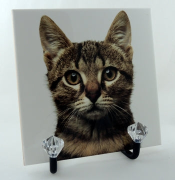 Easel Stand - Black Rod with Clear Crystal Tips